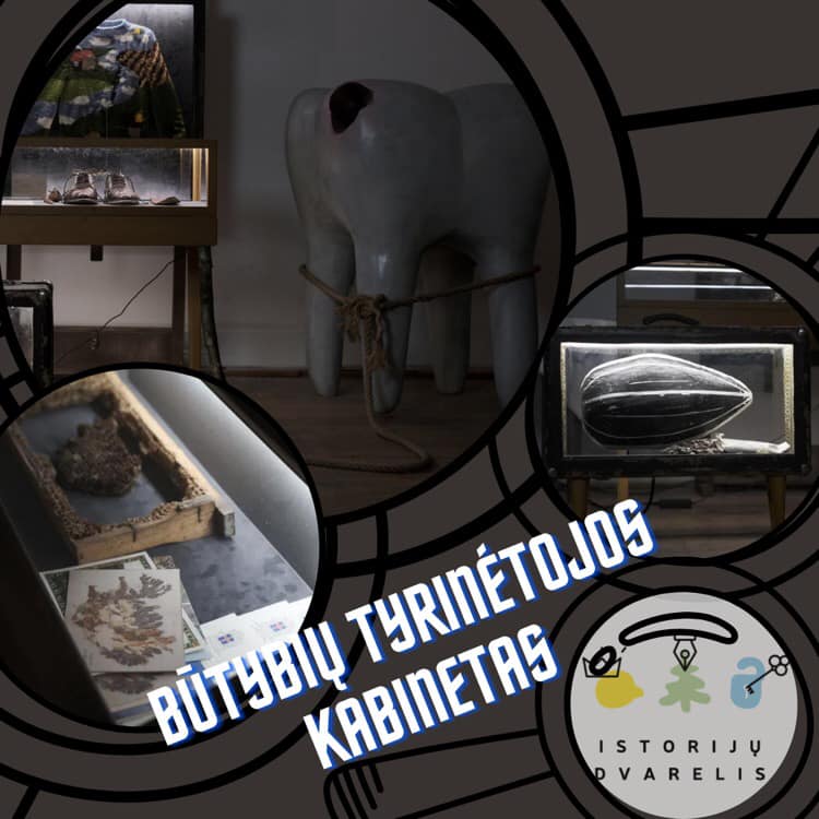 You are currently viewing BŪTYBIŲ TYRINĖTOJOS KABINETAS